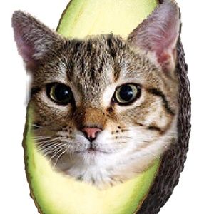 Meet your Posher, Katrina